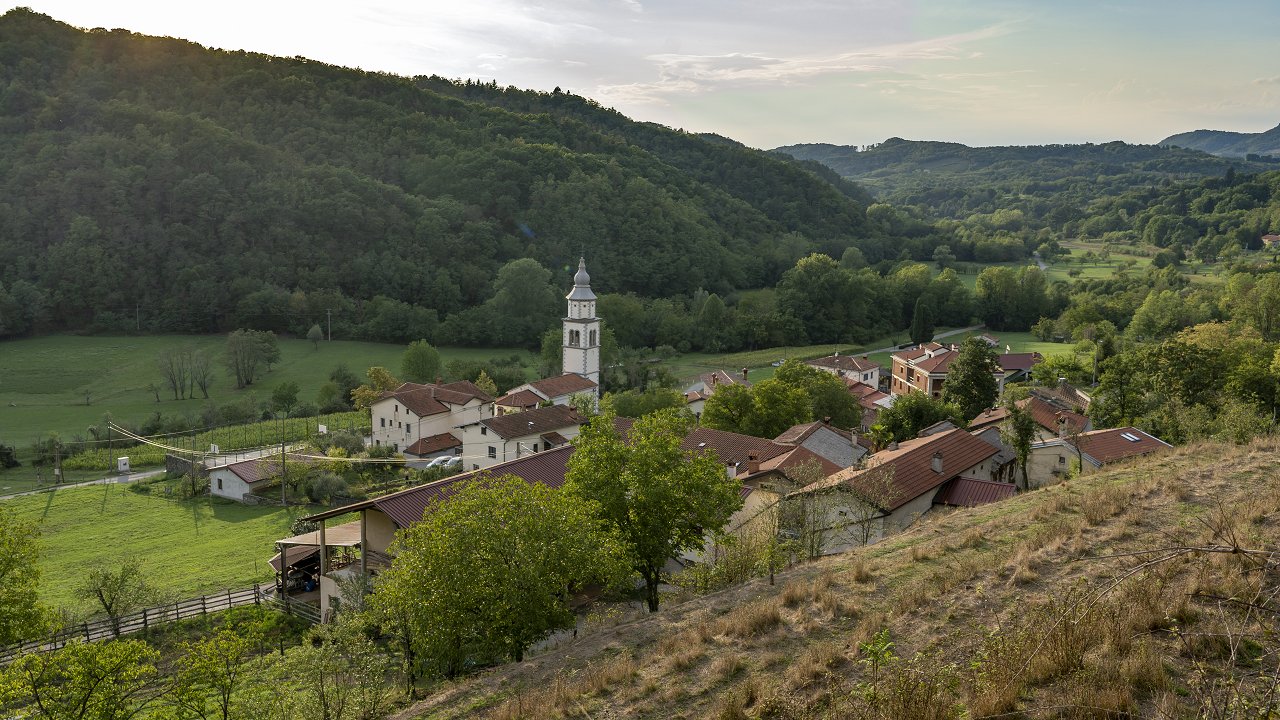 Gornja Branica